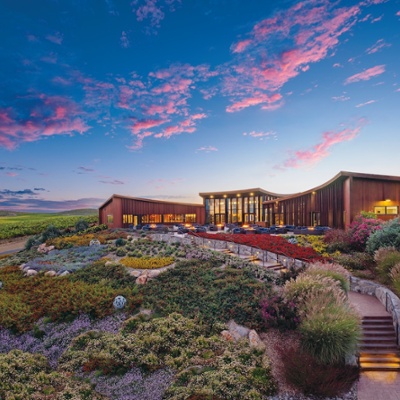 Bouchaine Vineyards