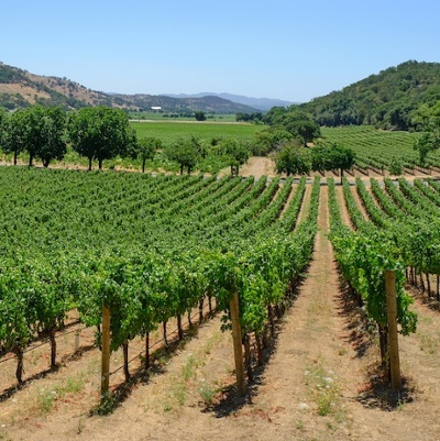 Welcome to Festival Napa Valley 2023!