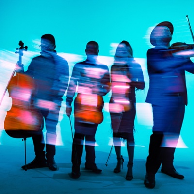Vitamin String Quartet